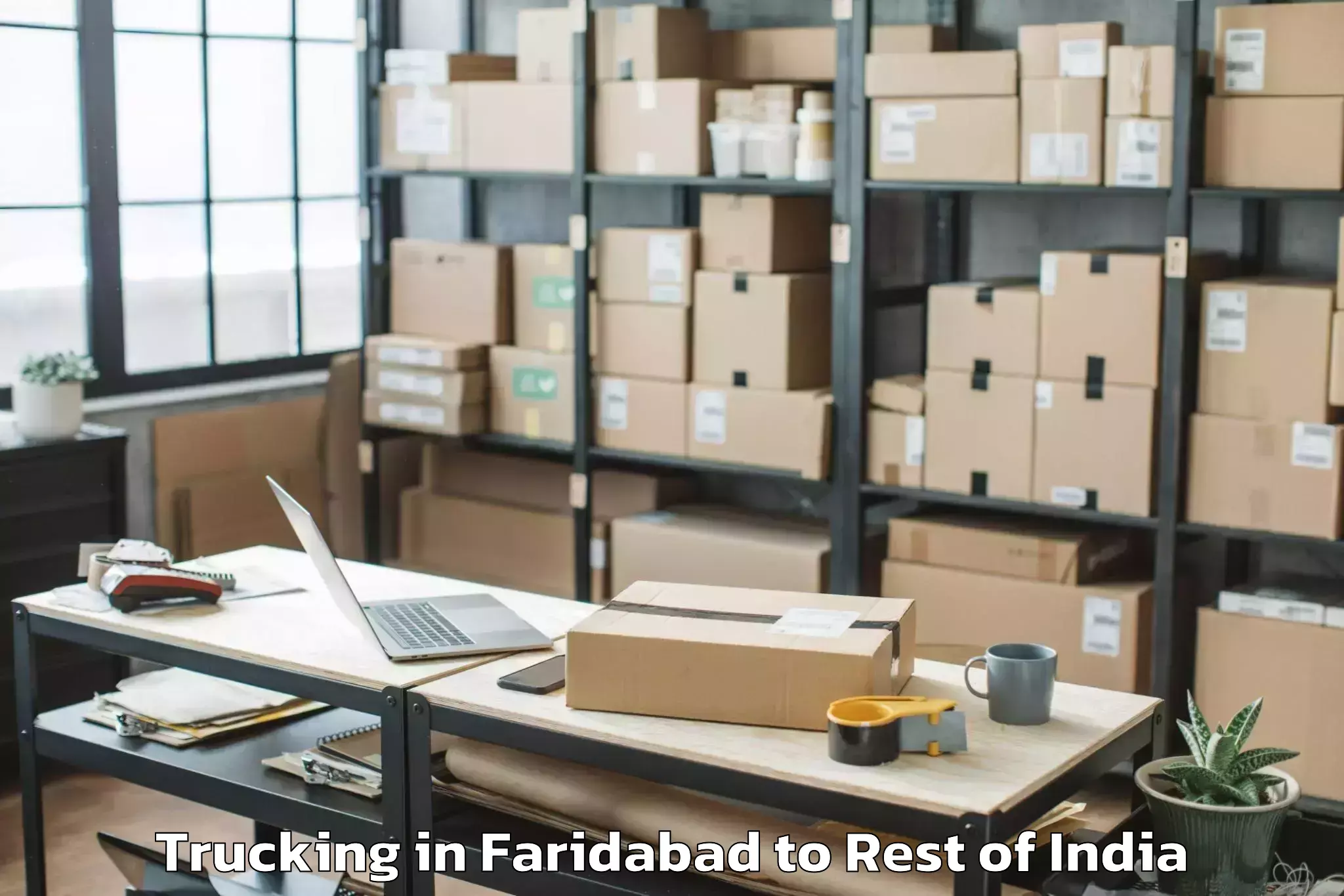 Easy Faridabad to Gandoh Trucking Booking